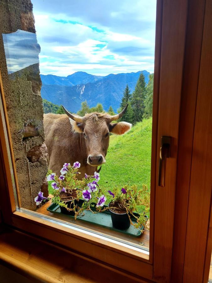 Chalet Chapeau Rar Castel Condino Екстериор снимка