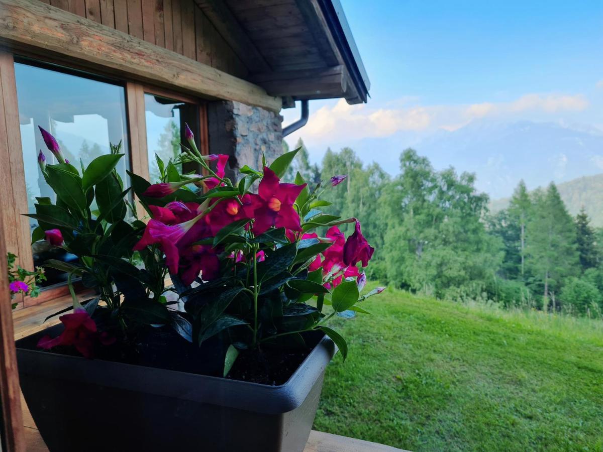 Chalet Chapeau Rar Castel Condino Екстериор снимка