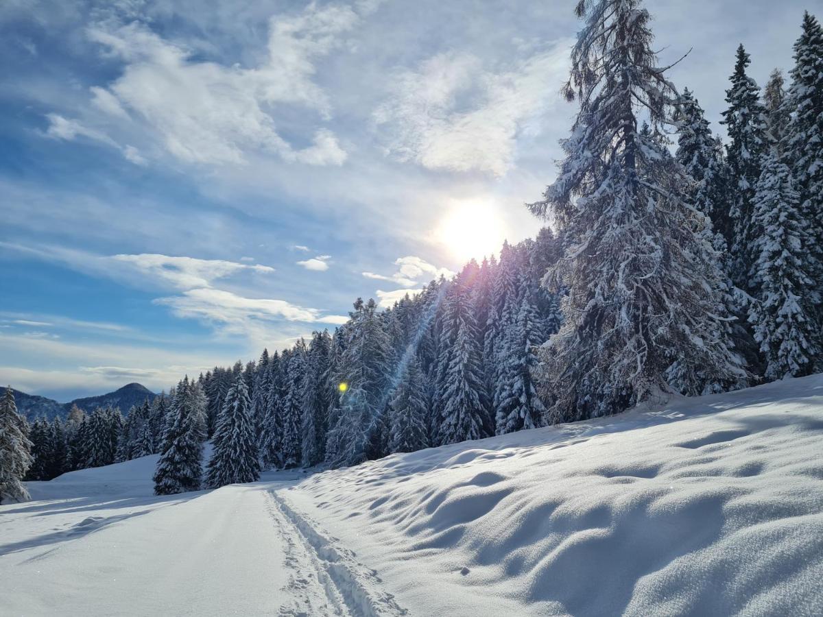 Chalet Chapeau Rar Castel Condino Екстериор снимка